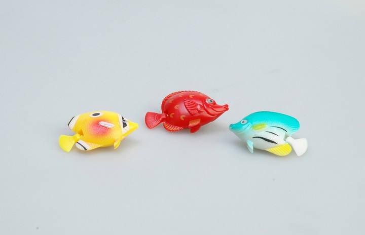Toy