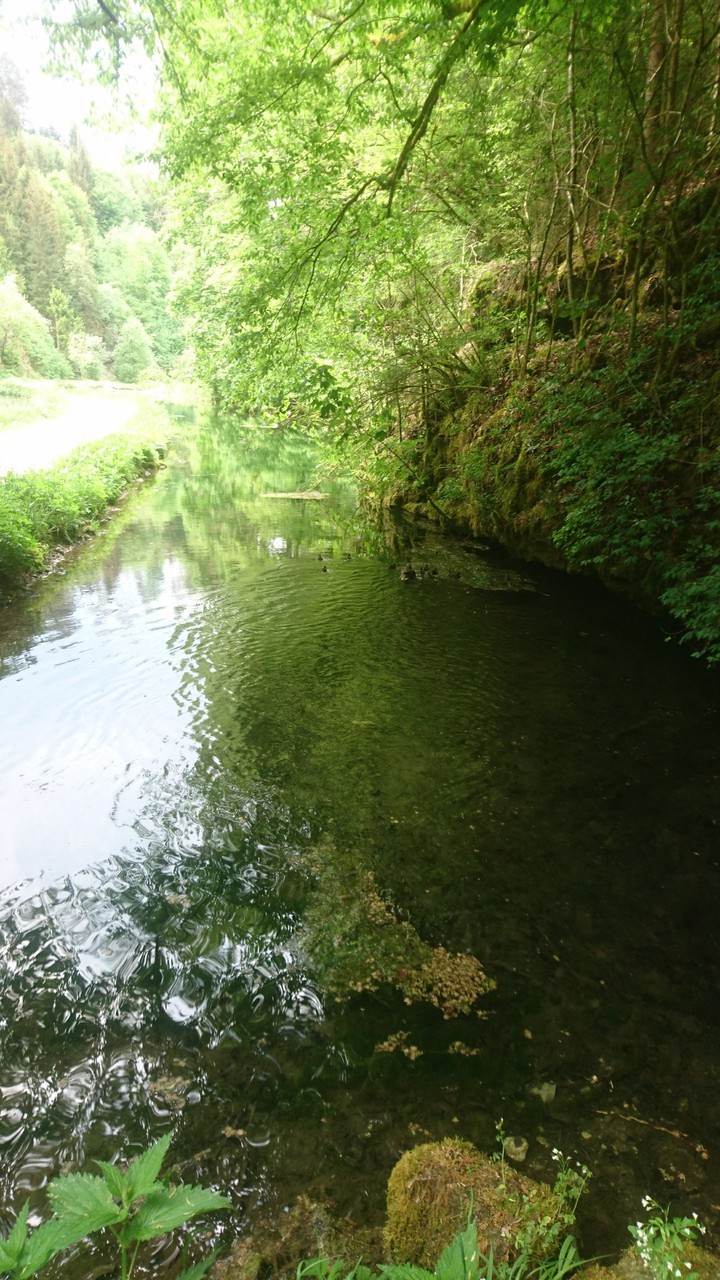 Natur