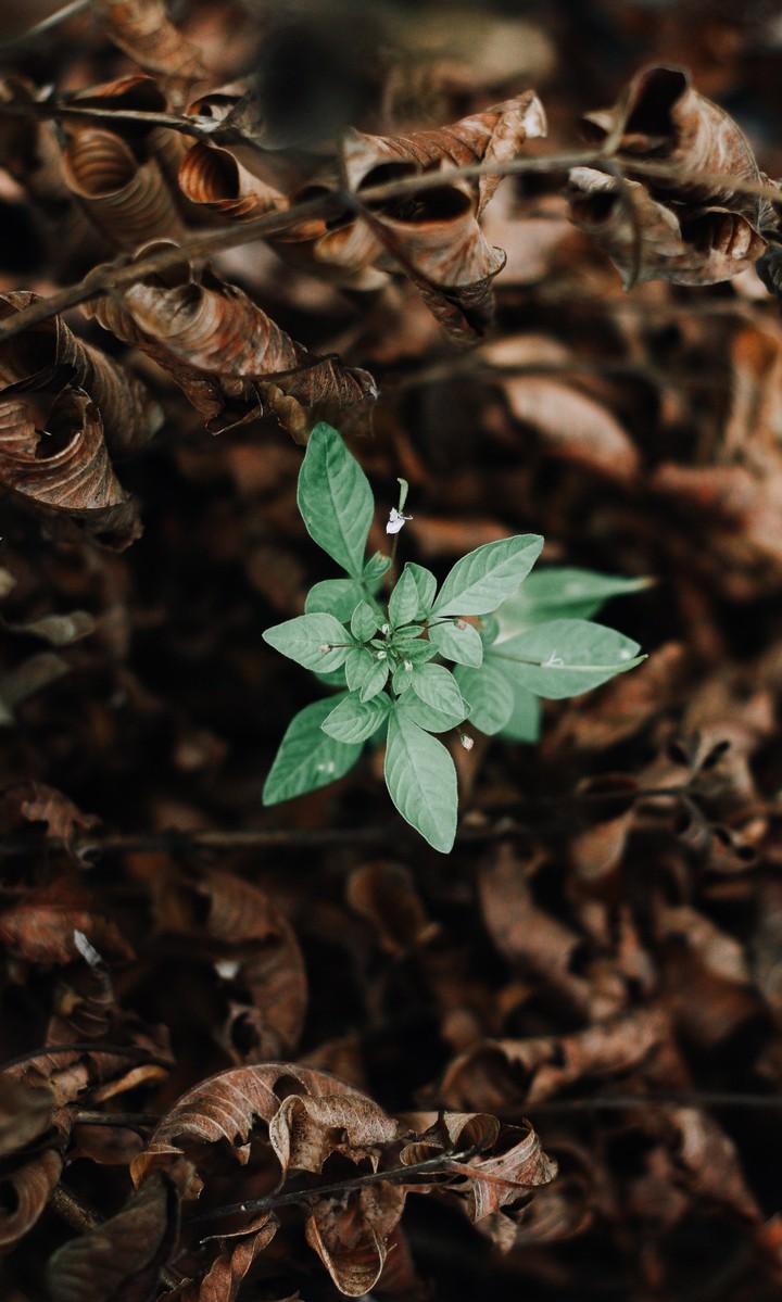 #Nature