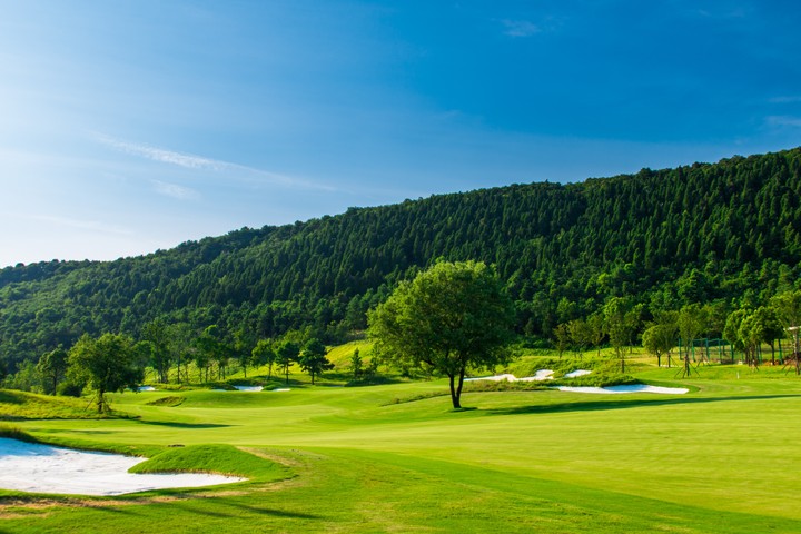 [Video Wallpaper] Golf