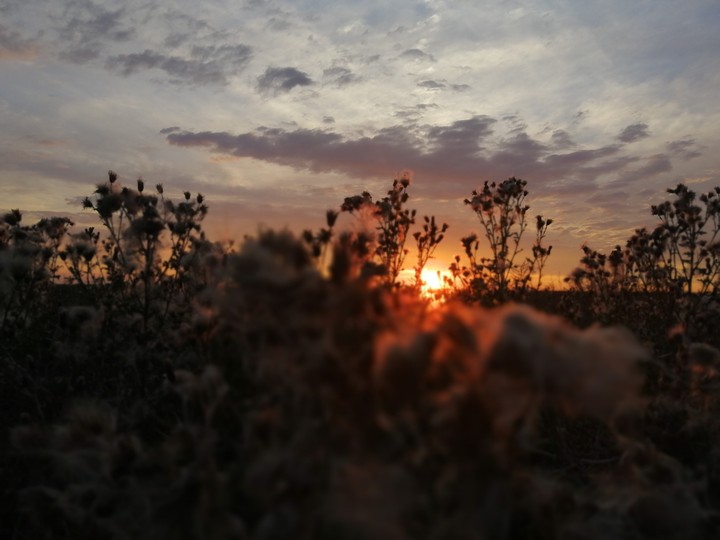 Sundown in Schernberg
