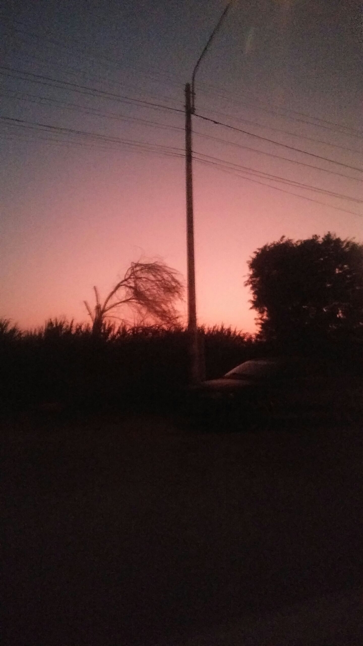 tarde