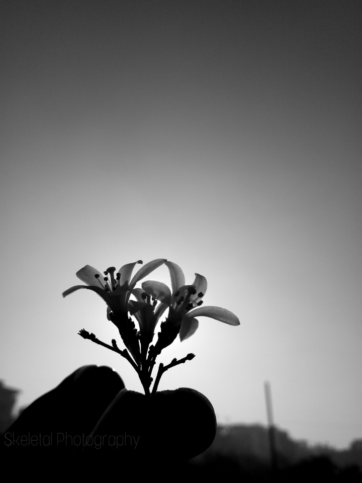 ,#Black world