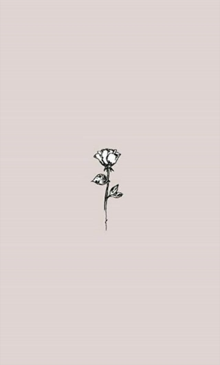 A small rose