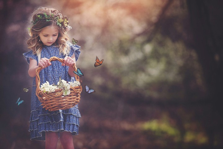 Beautiful Flowers and Butterflies ??.