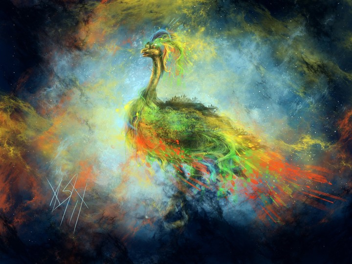 pavo realll