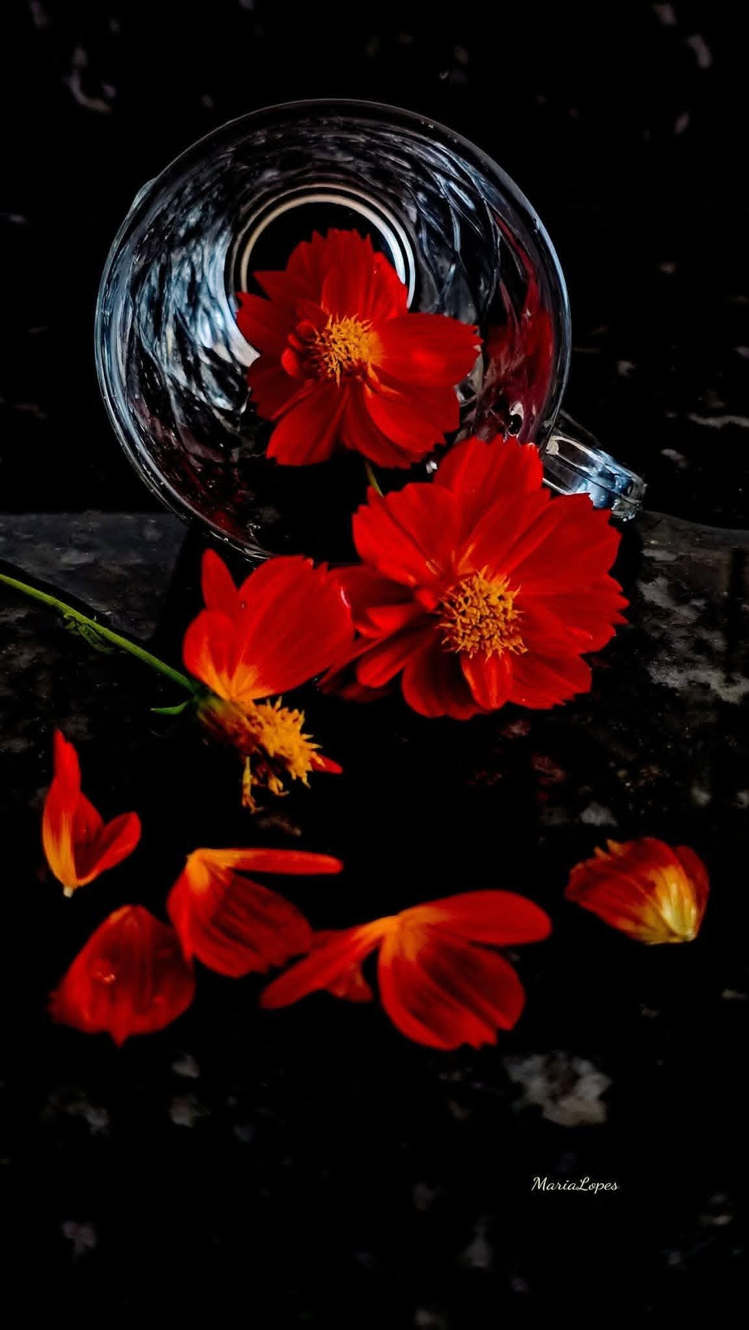 шпалери red, petal