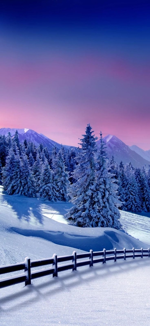 hình nền alps, winter