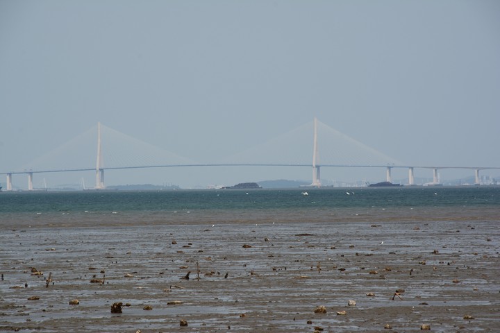 구봉도이미지