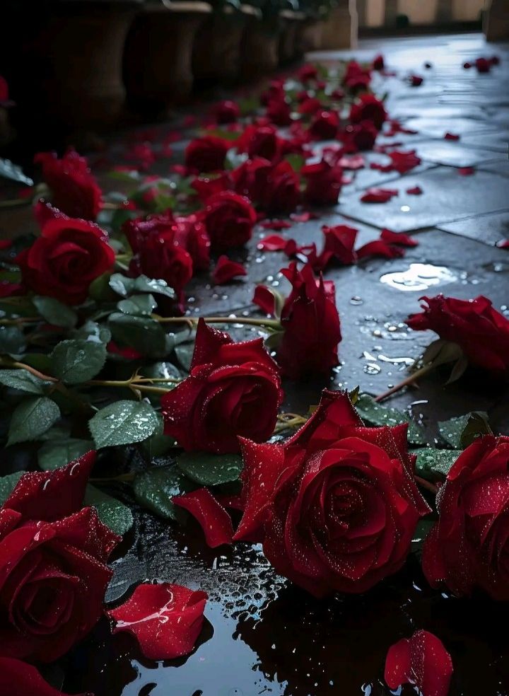 sfondi petal, floristry