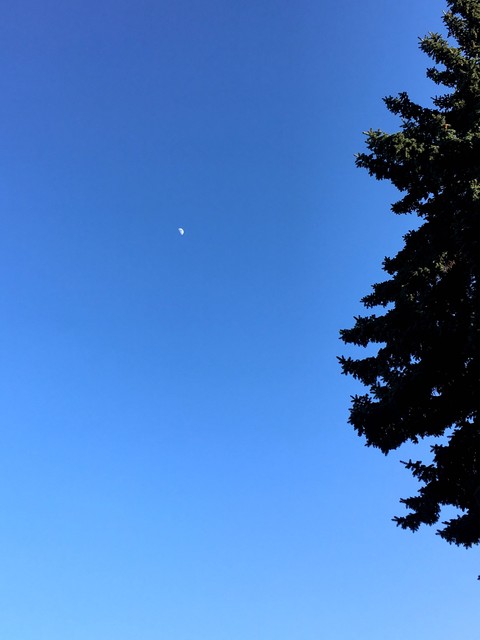 a moon