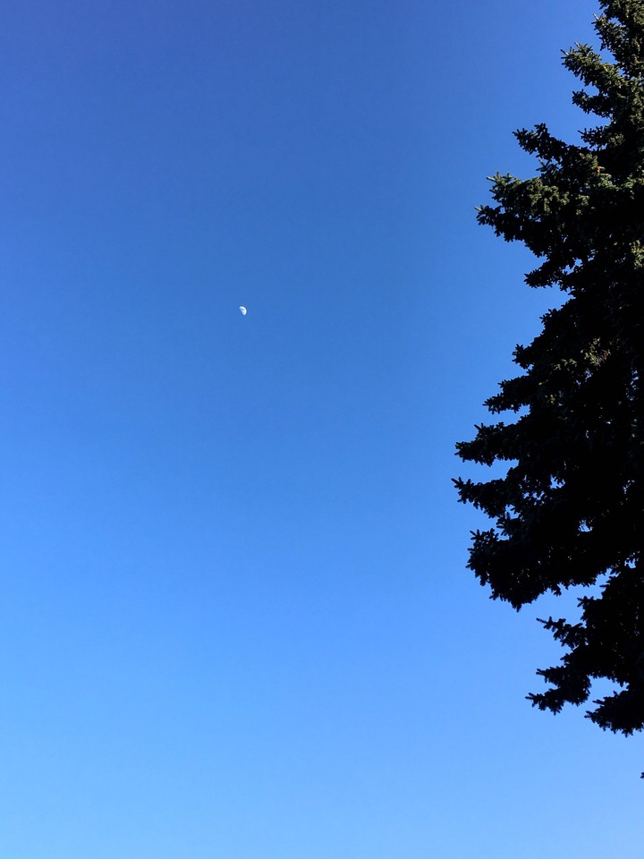 a moon