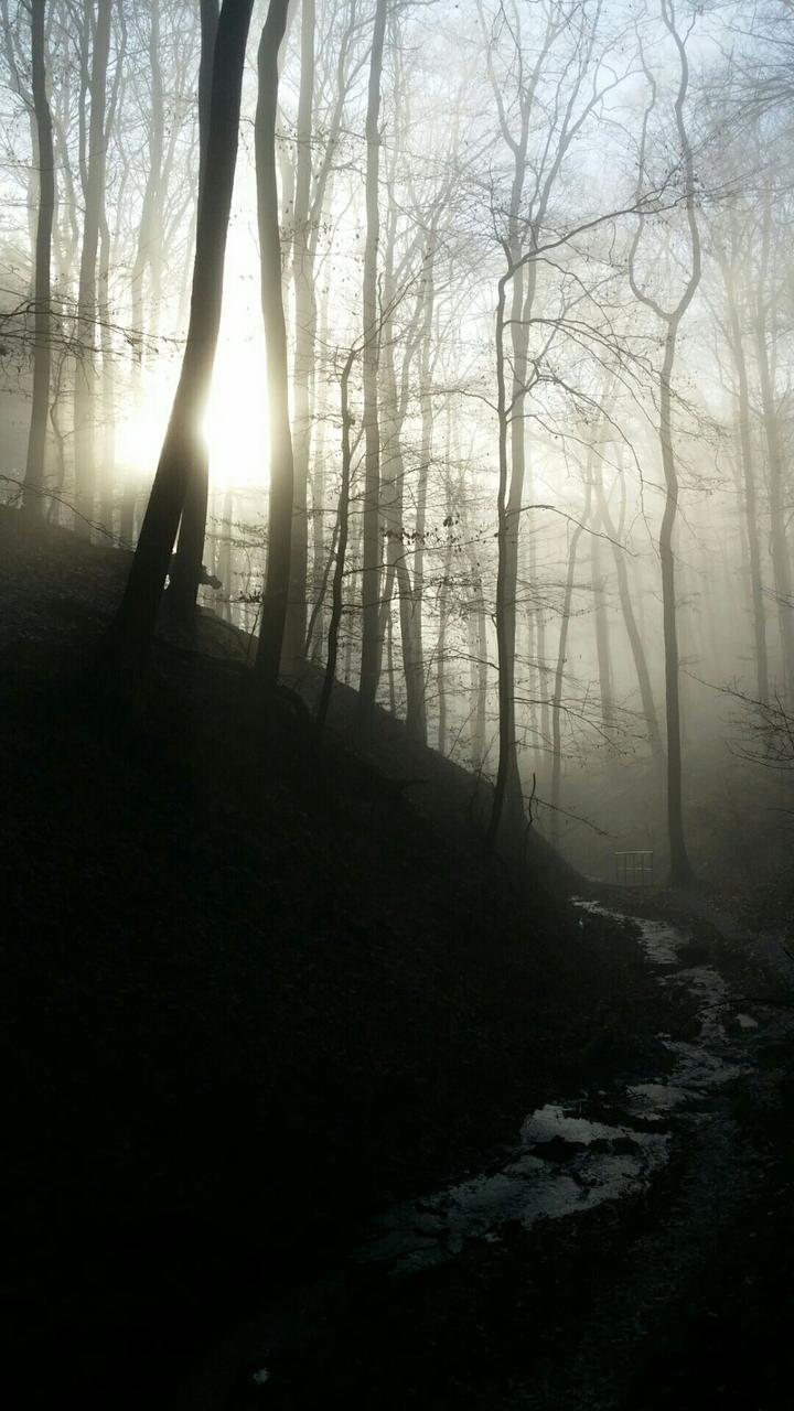 sunrise