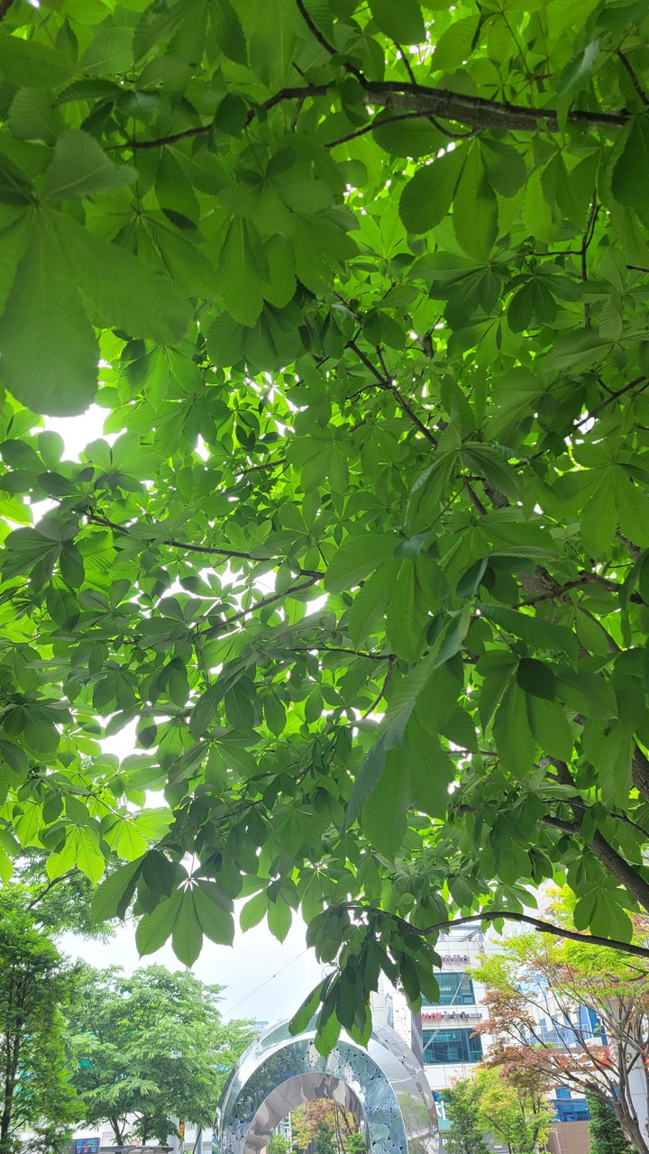 Summer is coming