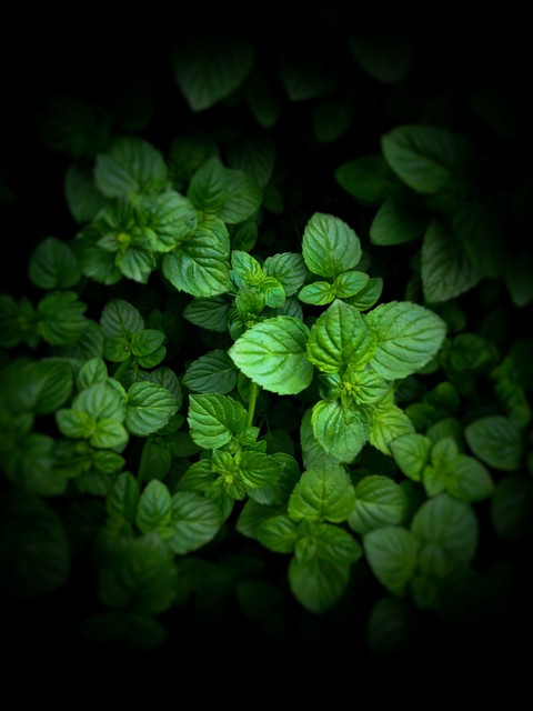 beautiful, 黑暗壁纸
