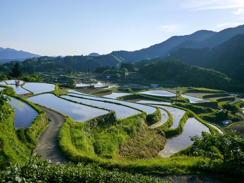 sfondi Plantation, valley