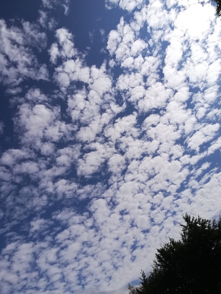 Cielo