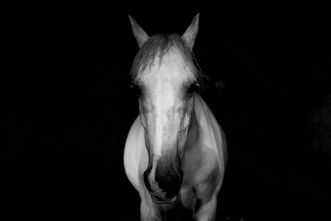 black-and-white, black वॉलपेपर