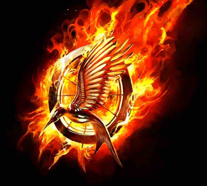 Hunger games