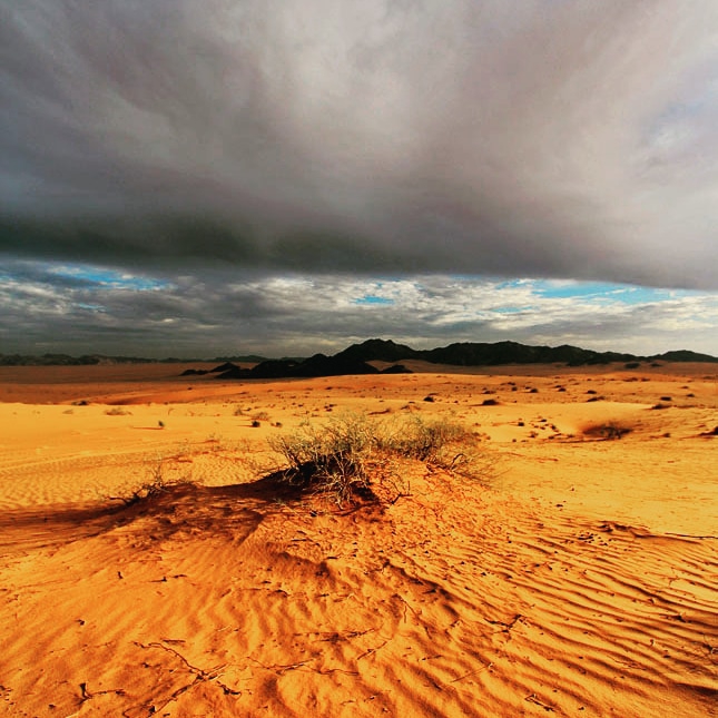 Desert