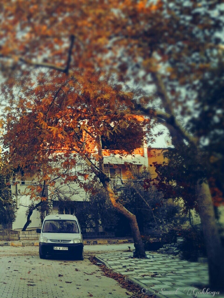 Burda esen hazan yeli; mevsimM soNbâhâŕ