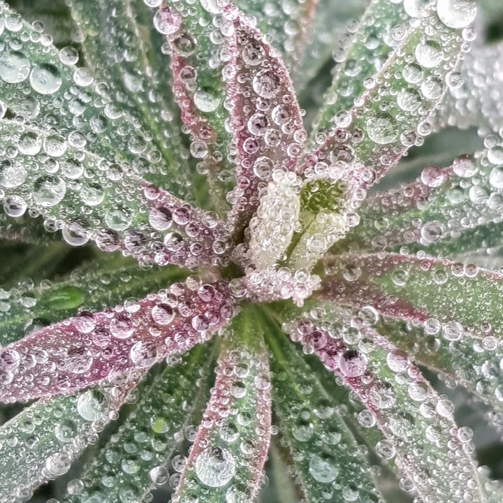Beauty of nature