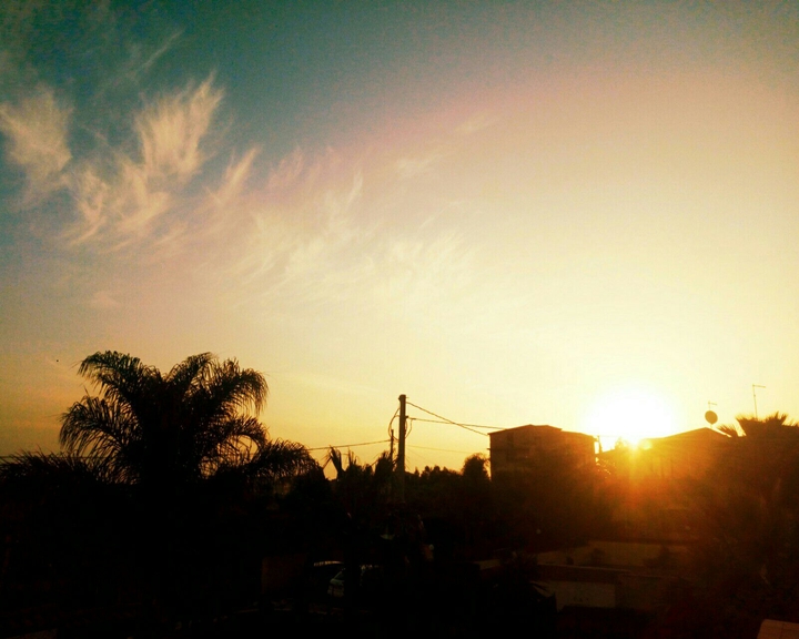 Sigh Skies