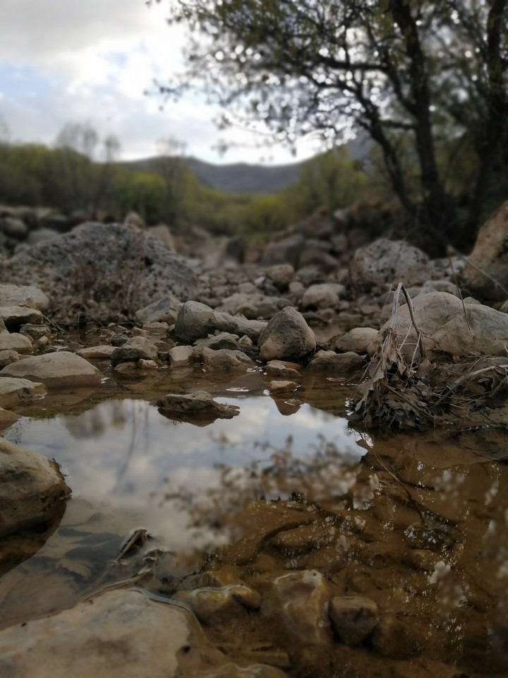 kermanshah