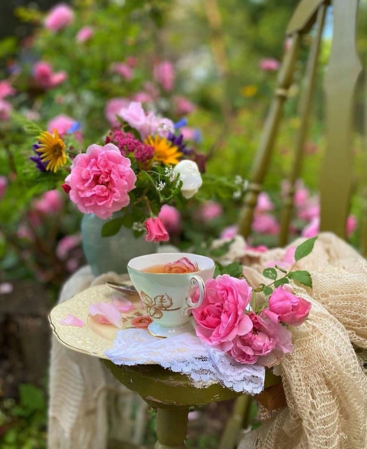 عکس پس زمینه