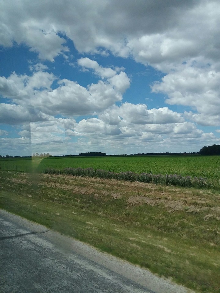 on the way to convention