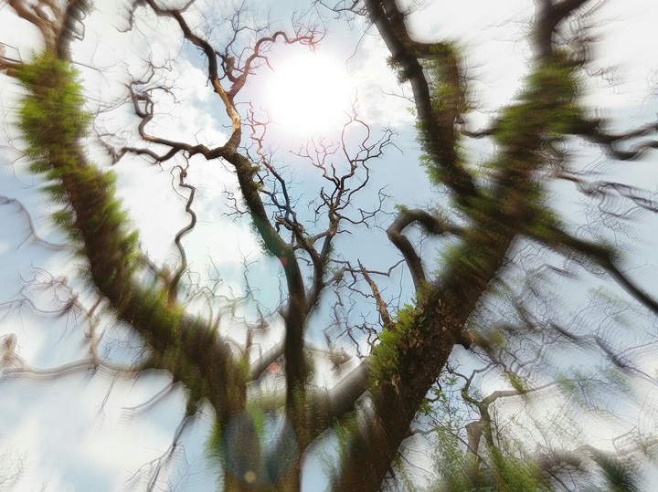 Burning sun.