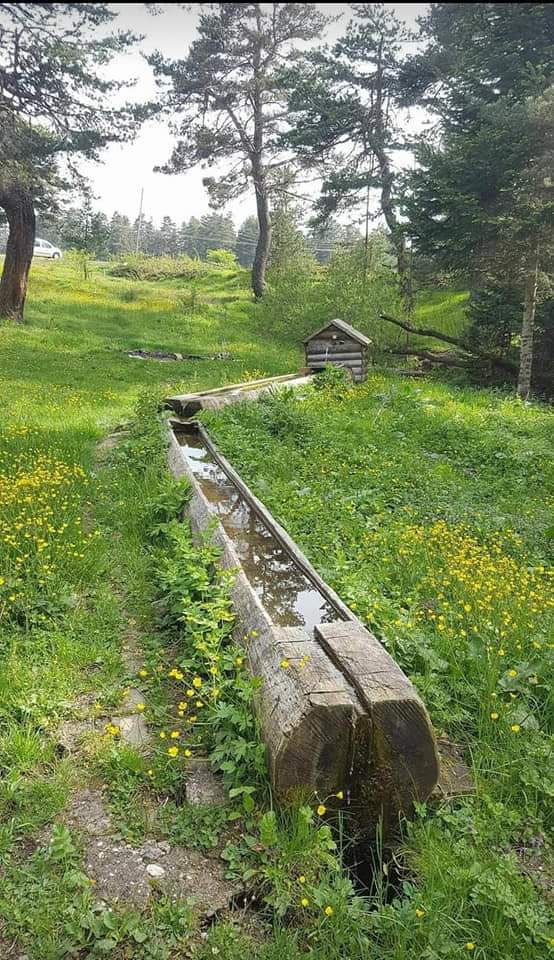 cok hoş