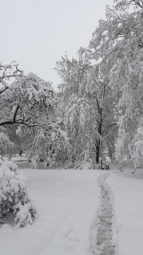 Snow