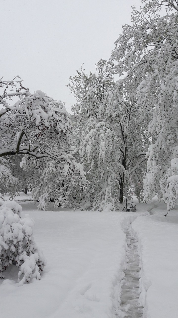 Snow