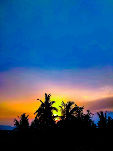 nature