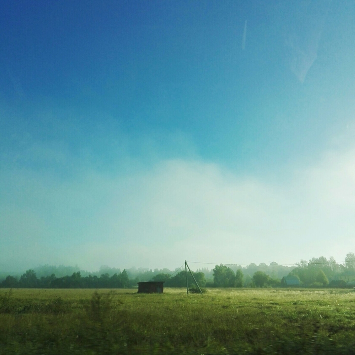 Rustic Morning