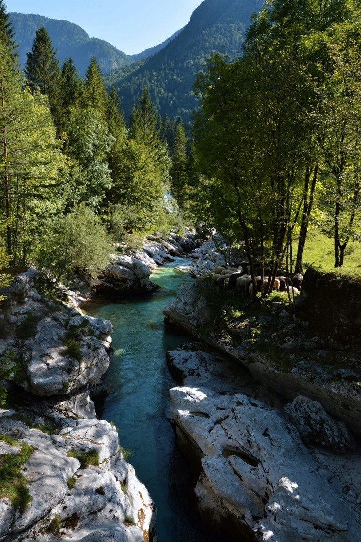 Soča