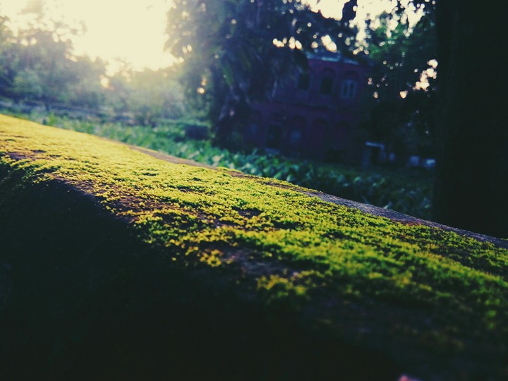 Background