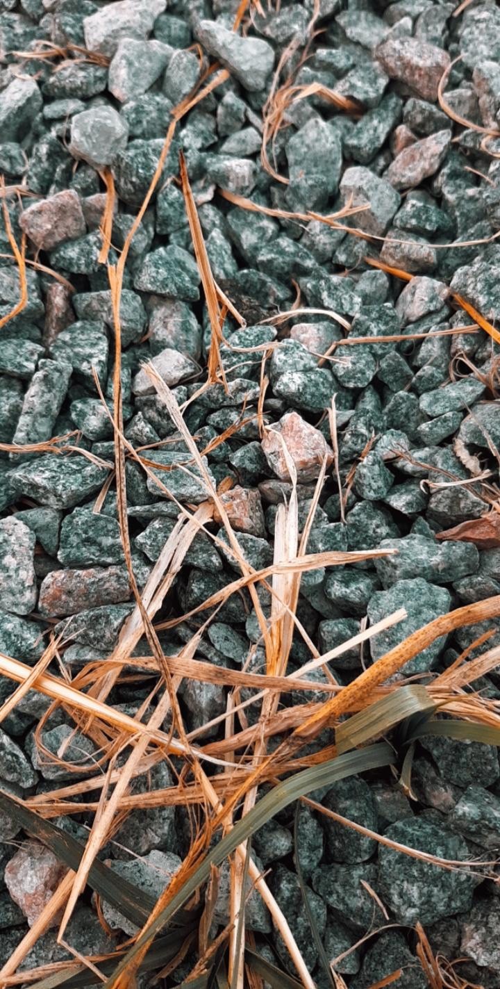 The stones