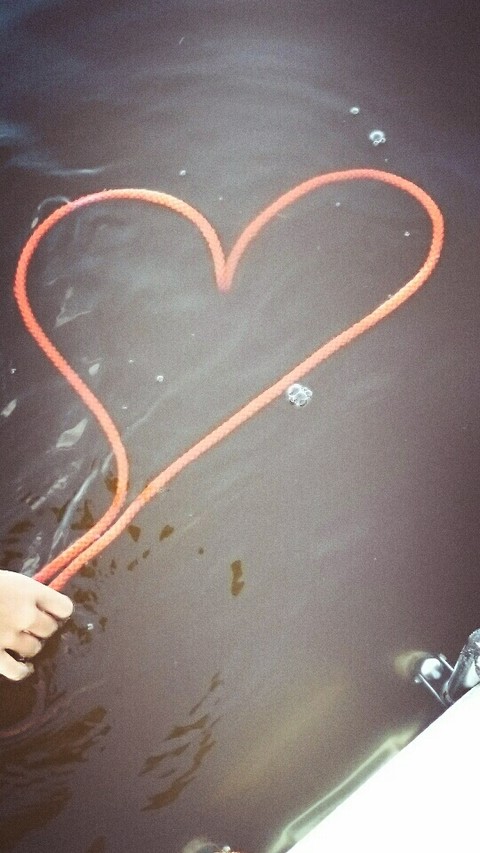 love ❤❤❤