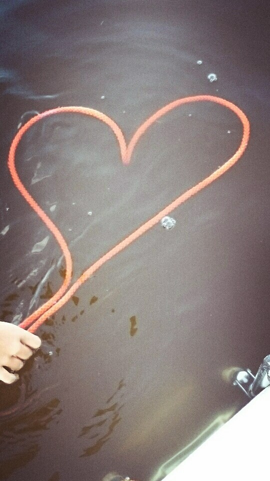 love ❤❤❤