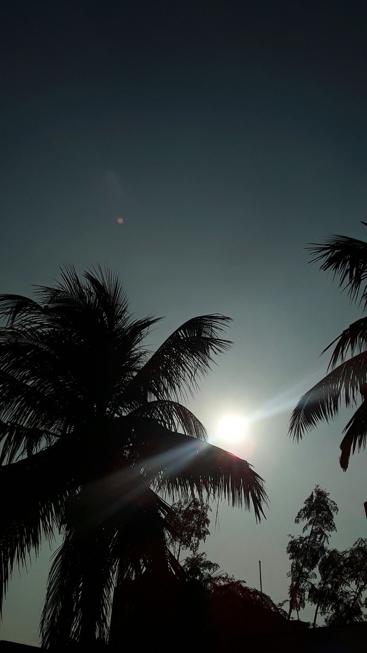 Beautiful Sunset Moment