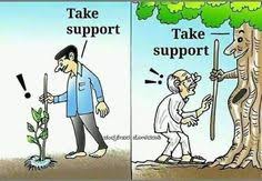 Happy Environment Day