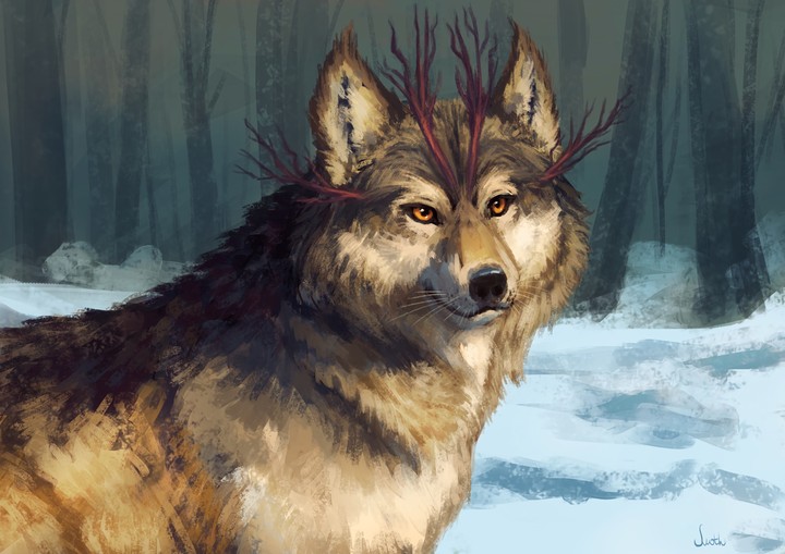 Dog