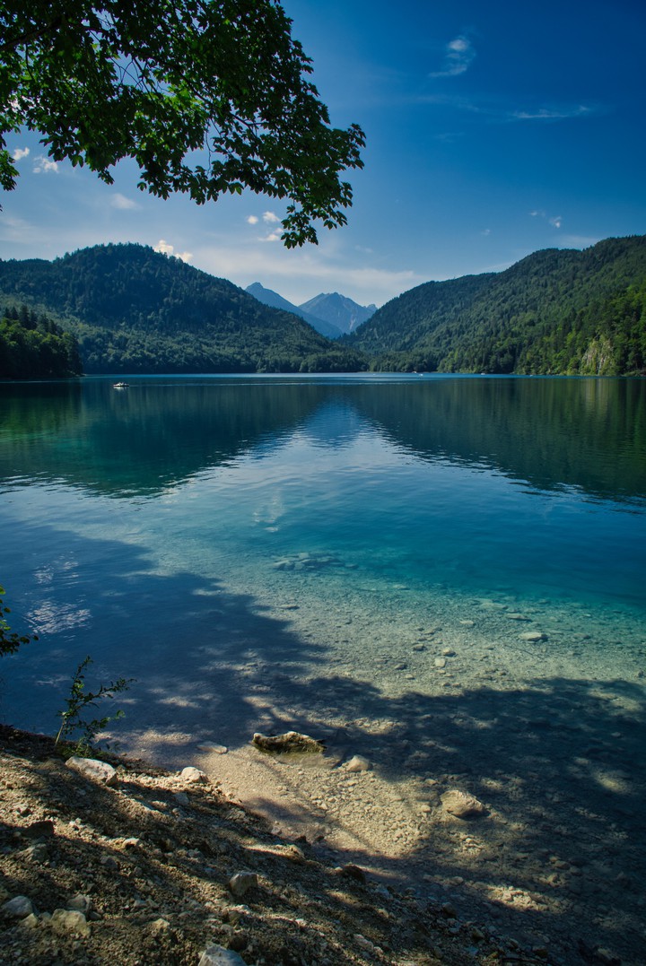 Alpsee