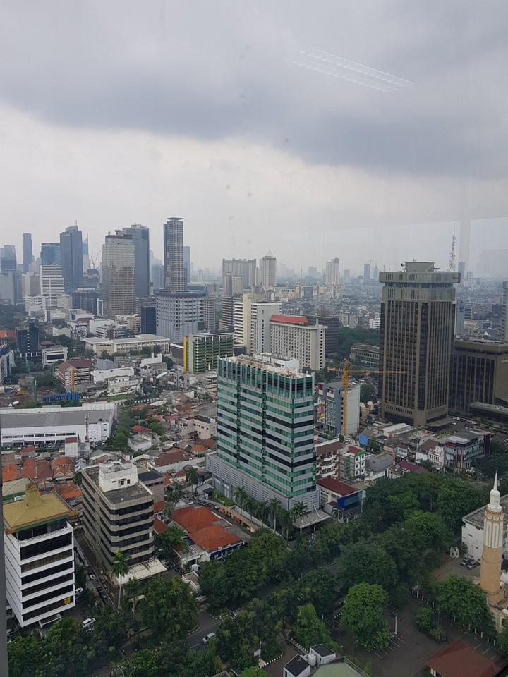 Concrete Jungle (?)