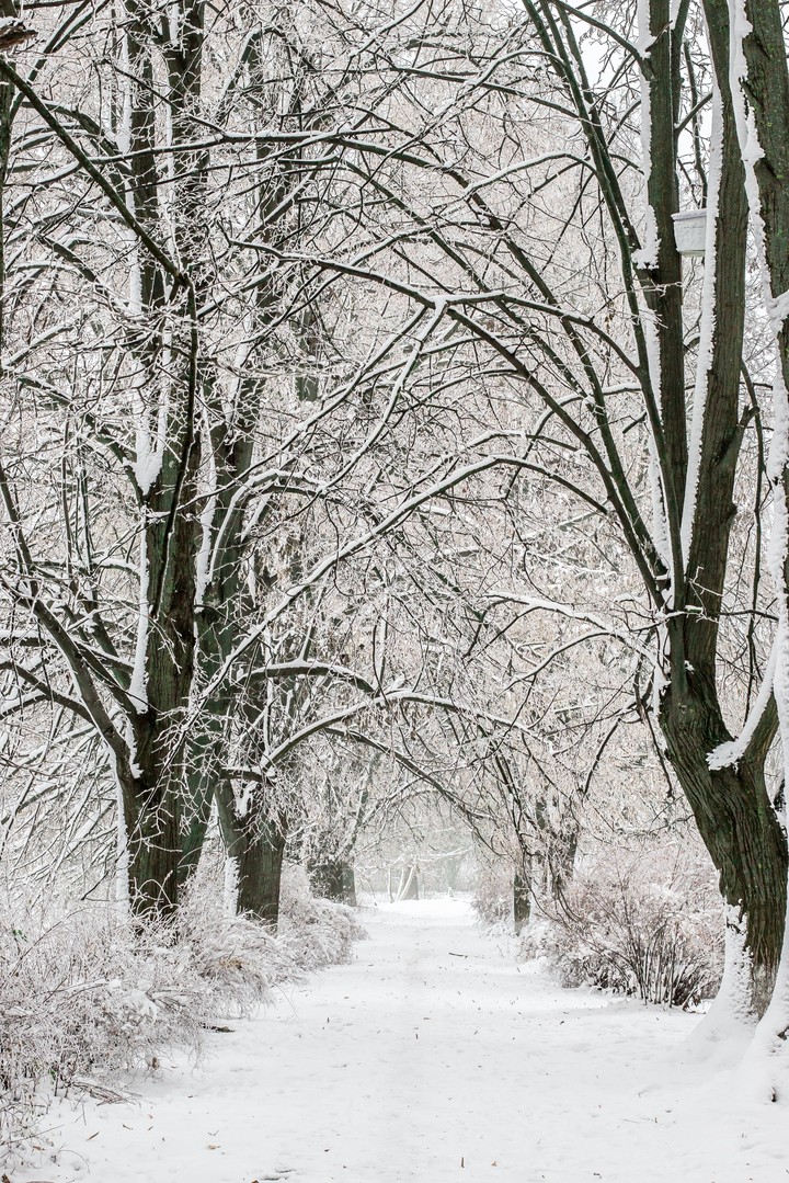 Wonderful winter