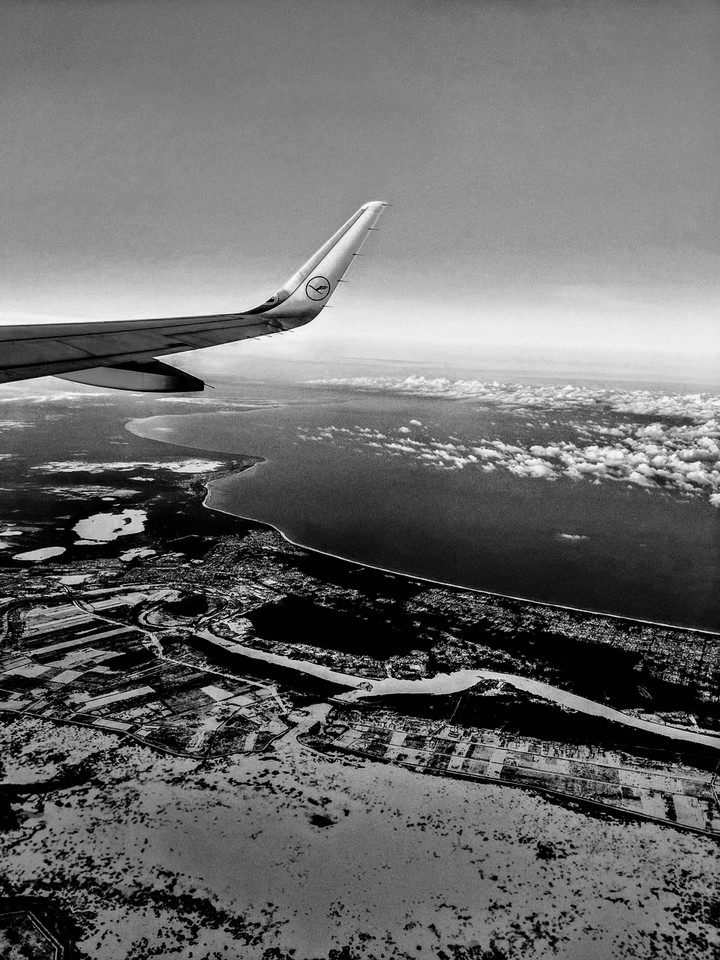 Avion