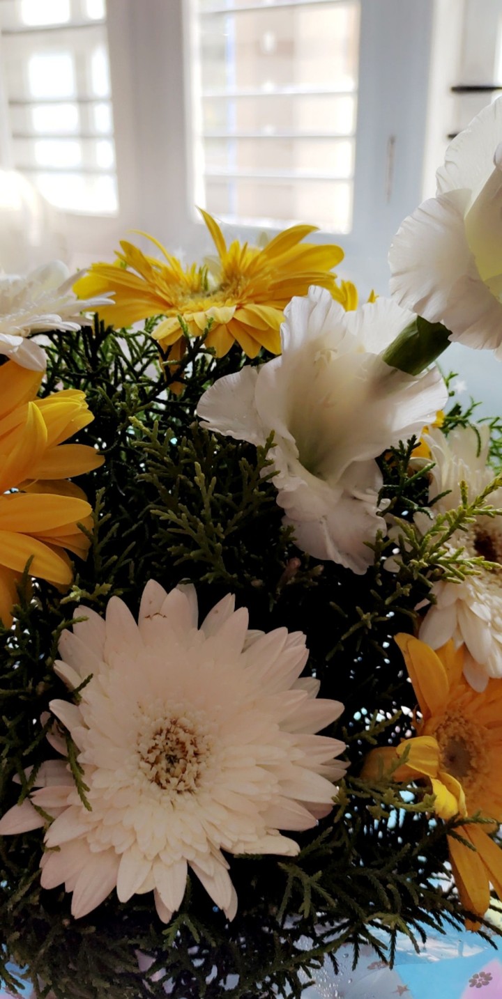 And you are my flower!