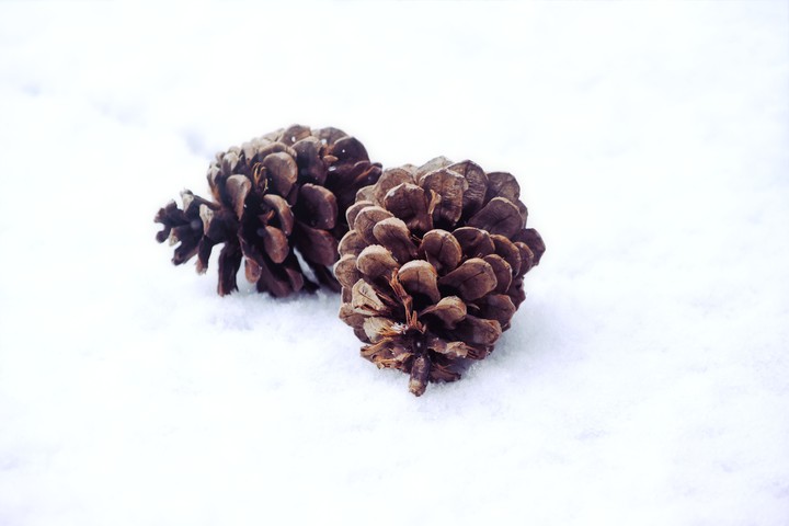 Cones
